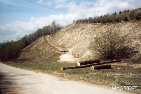 Vue d'un déblai à Billemont (Dugny-sur-Meuse)